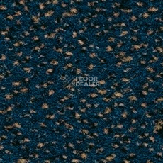 Ковролин Balsan Zenith Roll 161 фото 1 | FLOORDEALER